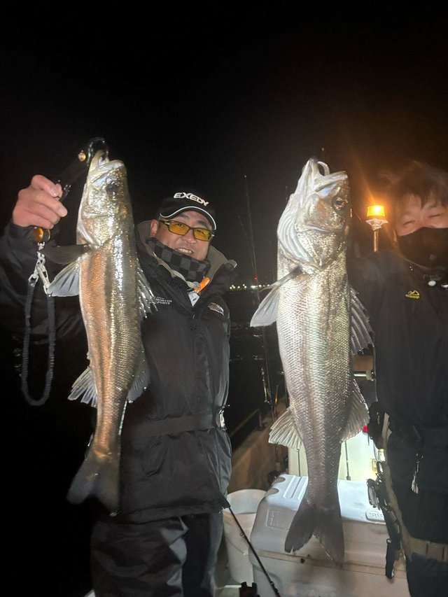 シーバス(スズキ)