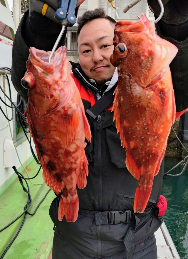 カンコ(ウッカリカサゴ)