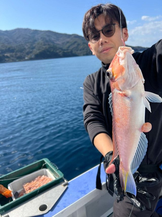 アマダイ(アカアマダイ)