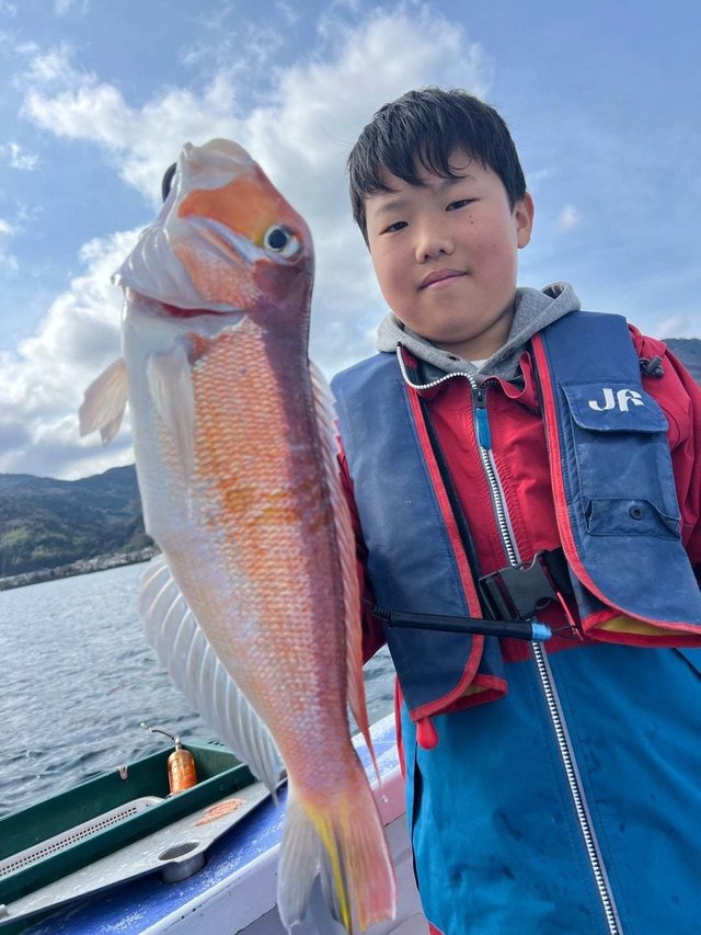 アマダイ(アカアマダイ)