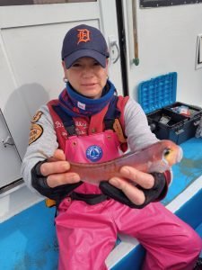 アマダイ(アカアマダイ)