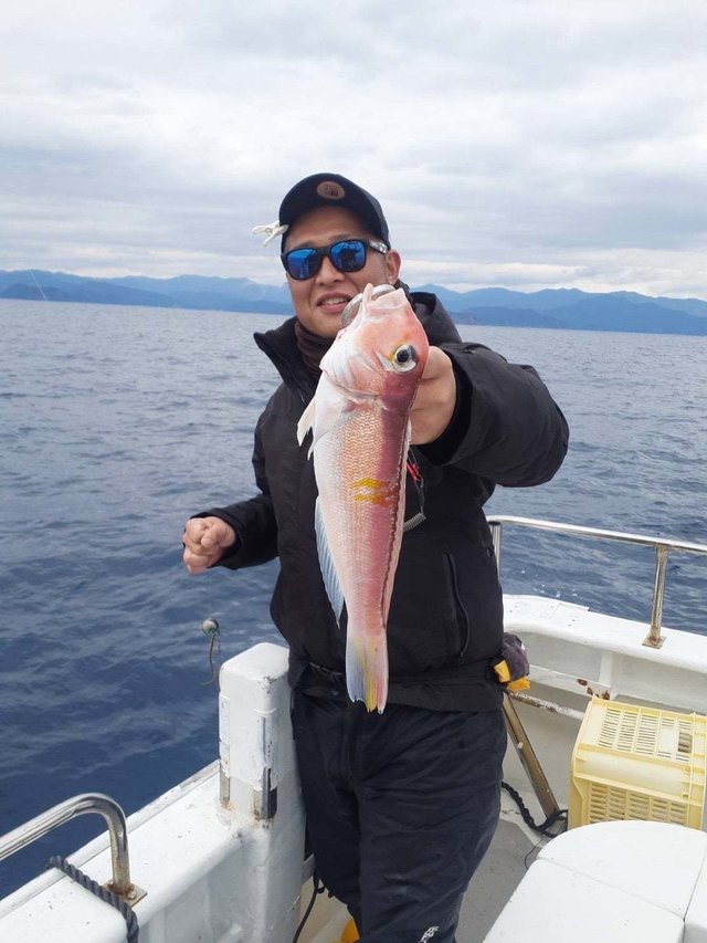 アマダイ(アカアマダイ)