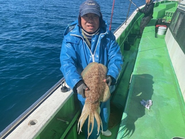 モンゴウ(カミナリイカ)