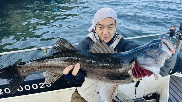 シーバス(スズキ)