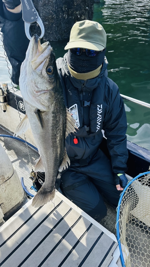 シーバス(スズキ)