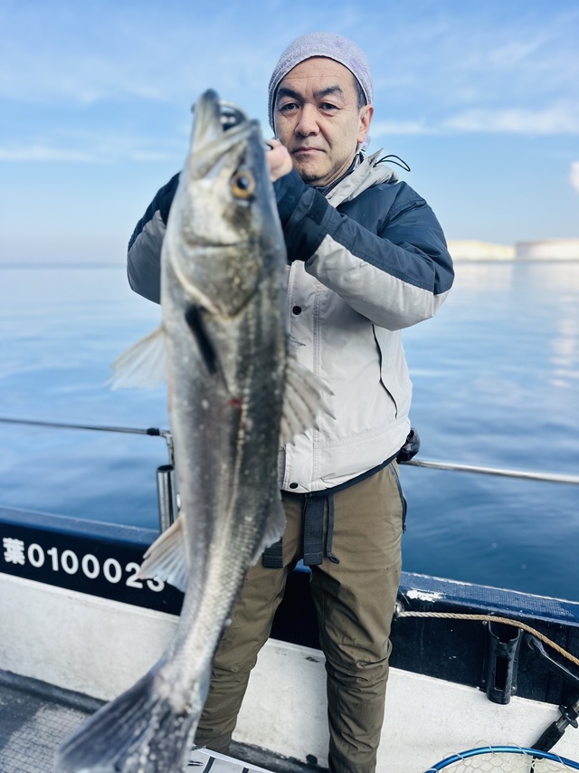 シーバス(スズキ)