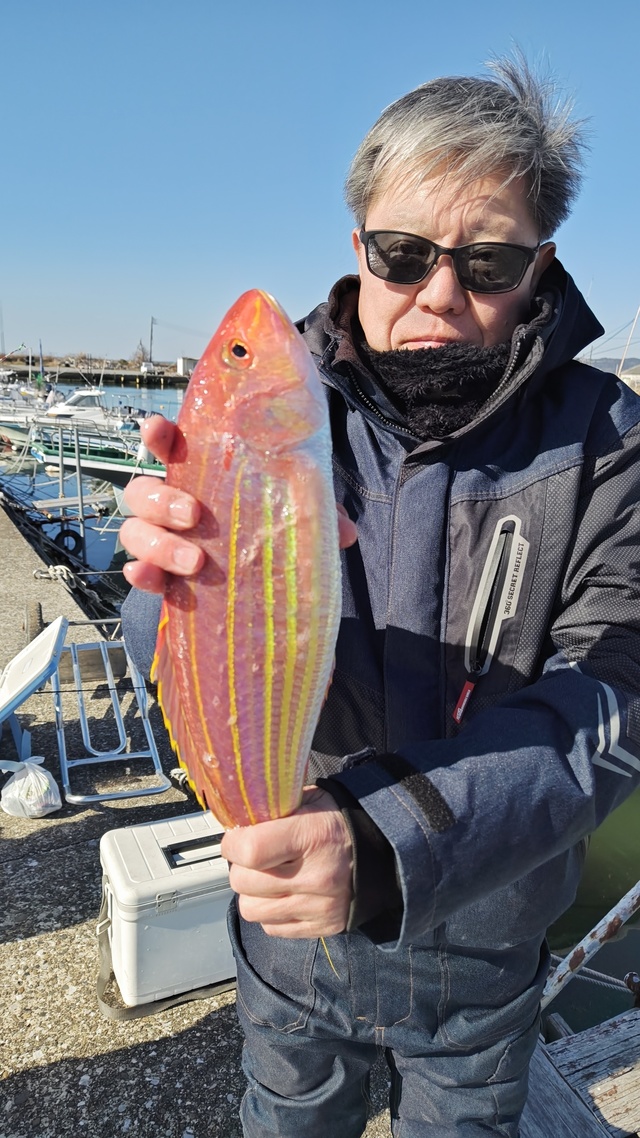 イトヨリ(イトヨリダイ)