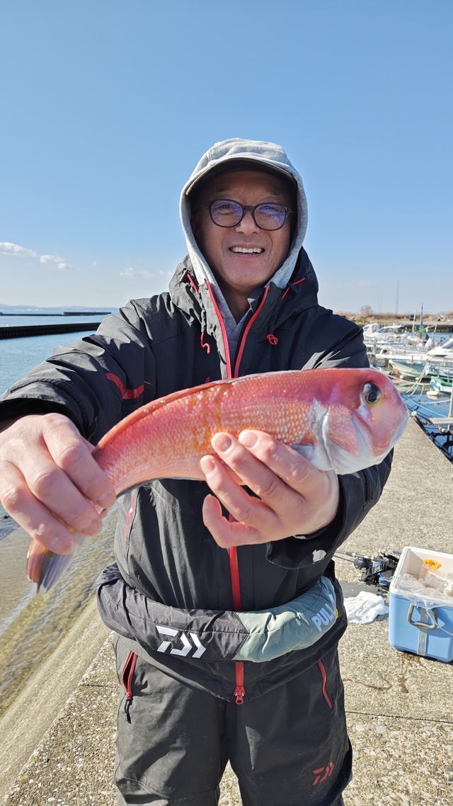 アマダイ(アカアマダイ)