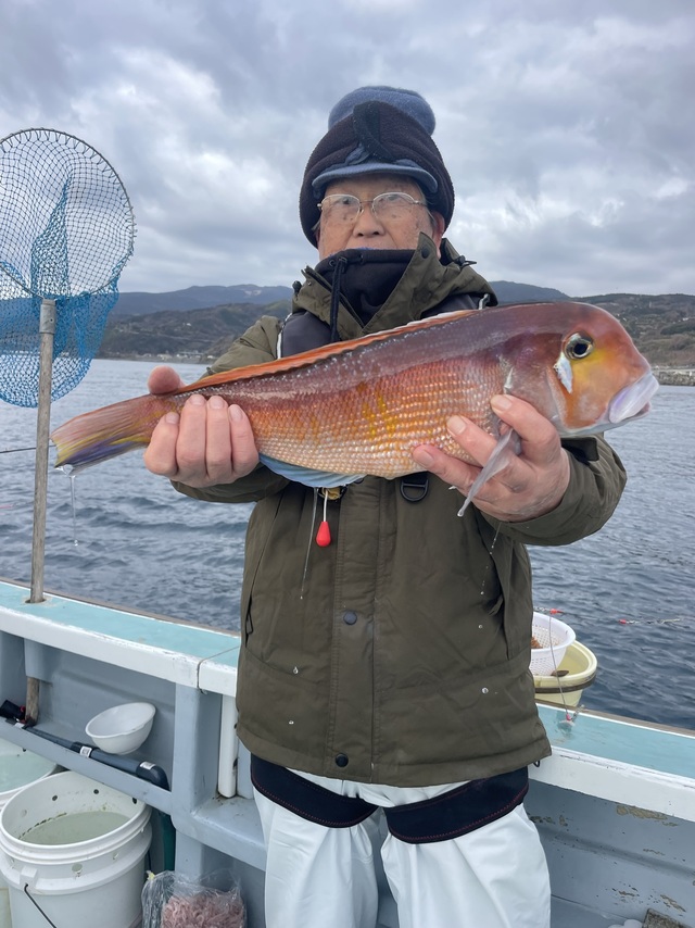 アマダイ(アカアマダイ)