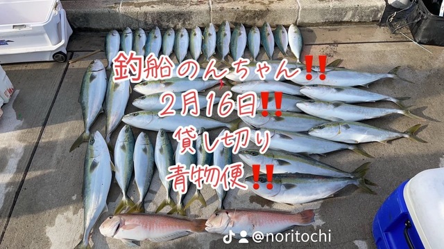 ブリ・シロアマダイ