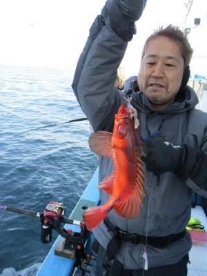 キントキ(チカメキントキ)