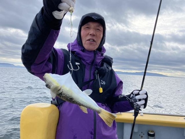 ショウサイフグ