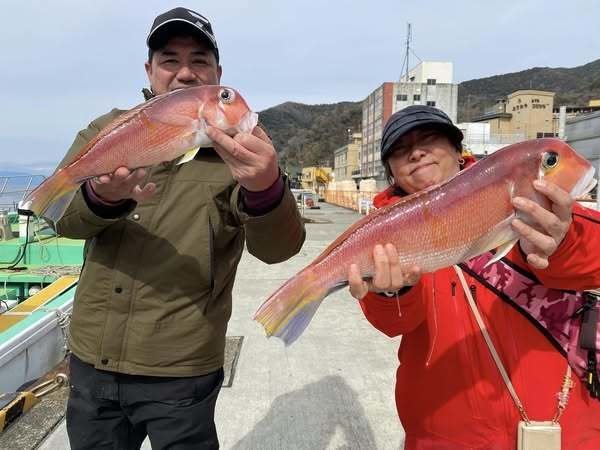 アマダイ(アカアマダイ)