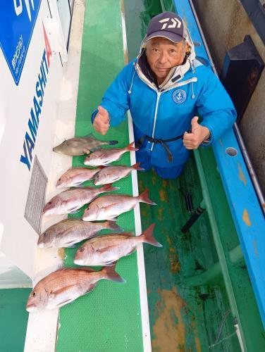 マダイ・ウマズラ(ウマヅラハギ)