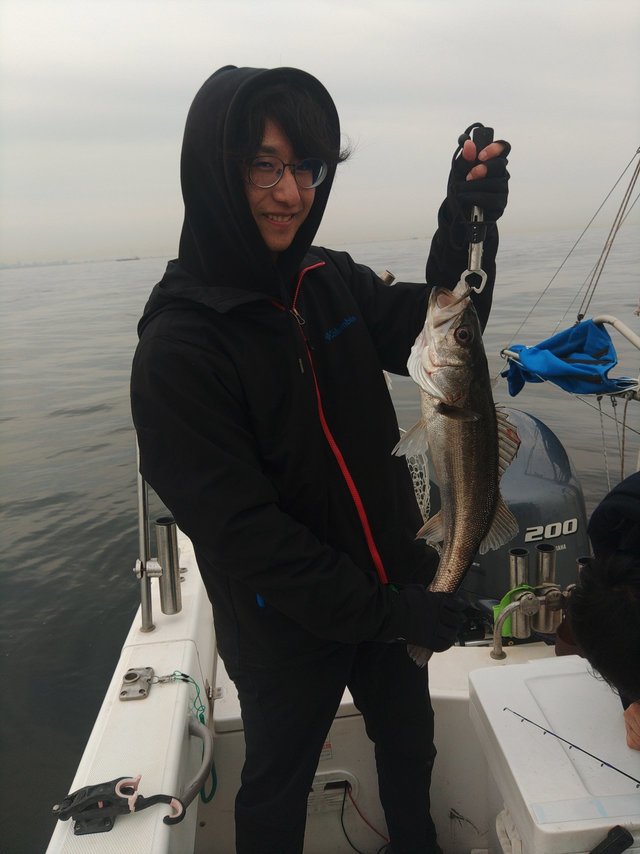 シーバス(スズキ)