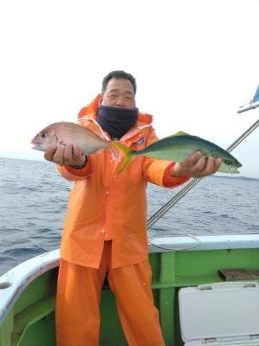 マダイ・イナダ(ブリ)