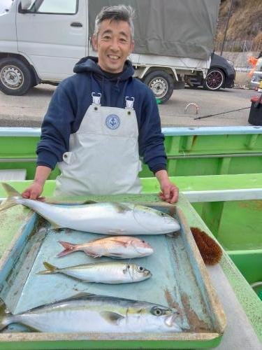 マダイ・アジ(マアジ)・イナダ(ブリ)・ワラサ(ブリ)