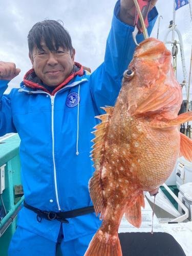 ウッカリカサゴ