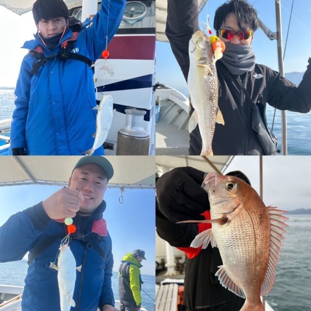 マダイ・ショウサイフク(ショウサイフグ)