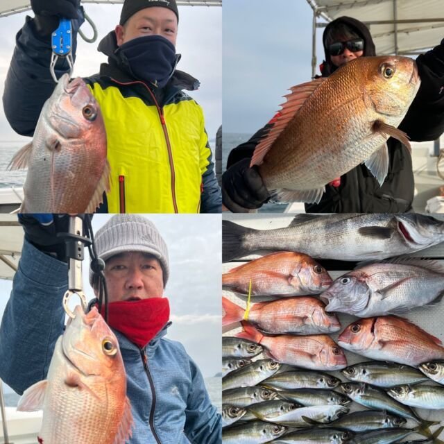 マダイ・アジ(マアジ)