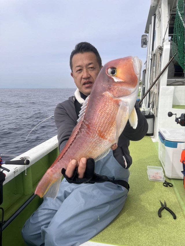 アマダイ(アカアマダイ)