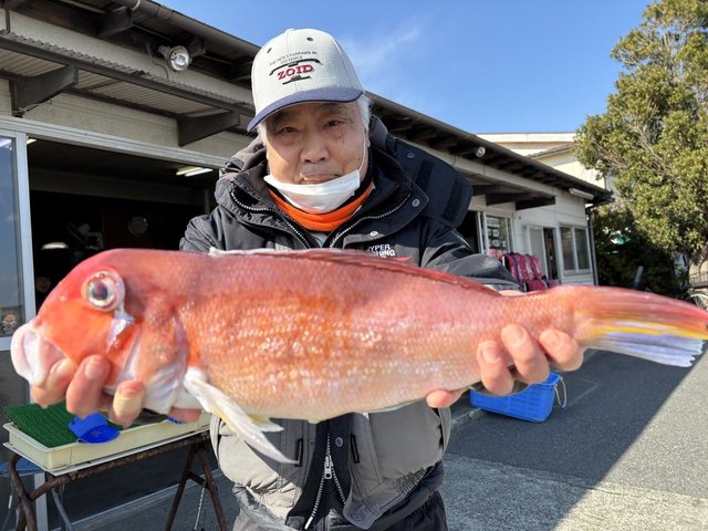 アマダイ(アカアマダイ)