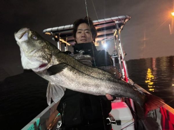 シーバス(スズキ)