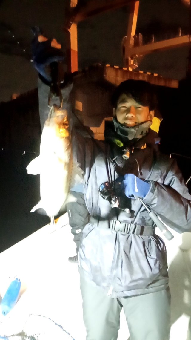 シーバス(スズキ)