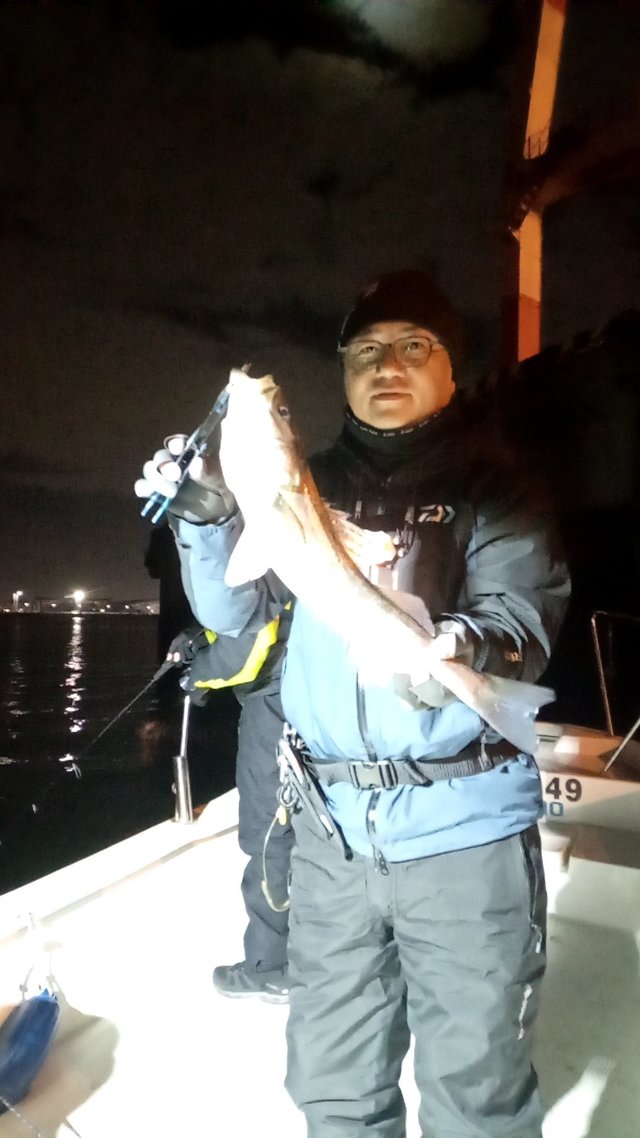 シーバス(スズキ)