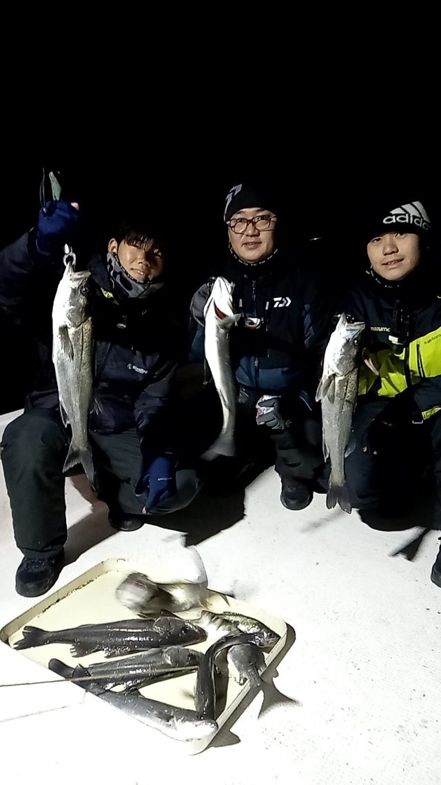 シーバス(スズキ)