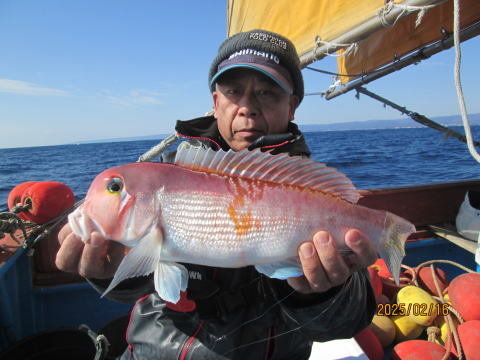 アマダイ(アカアマダイ)