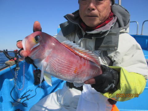 アマダイ(アカアマダイ)