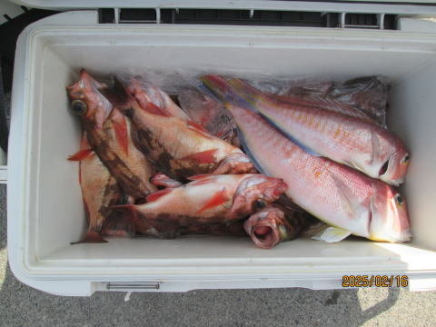 アマダイ(アカアマダイ)