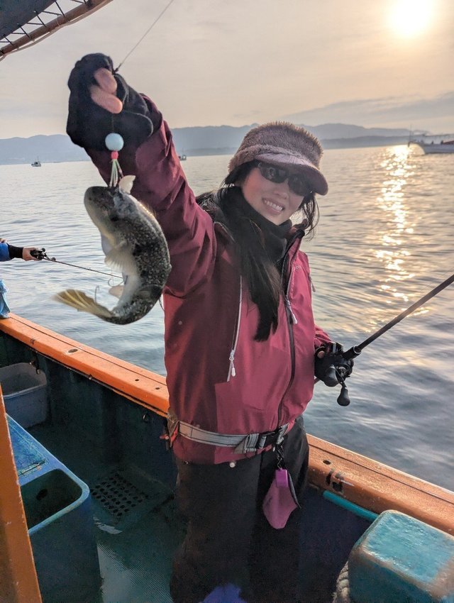 フグ(ショウサイフグ)