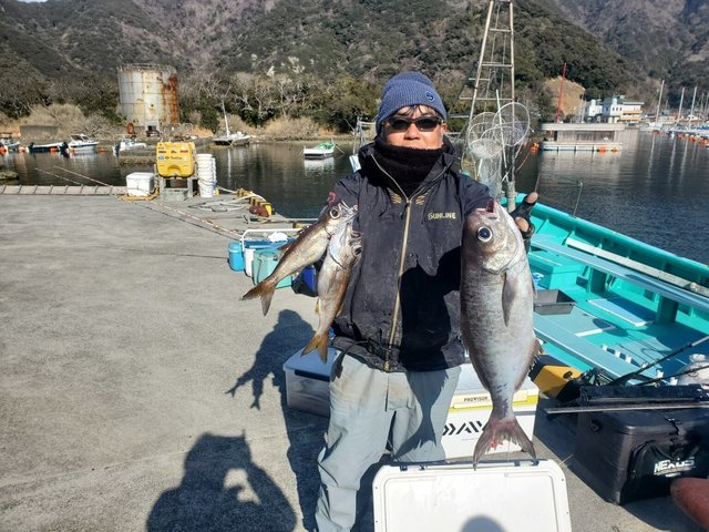 クロムツ・メダイ