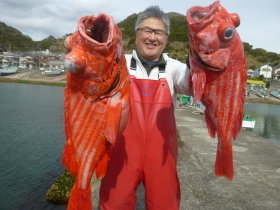 ベニアコウ(オオサガ)