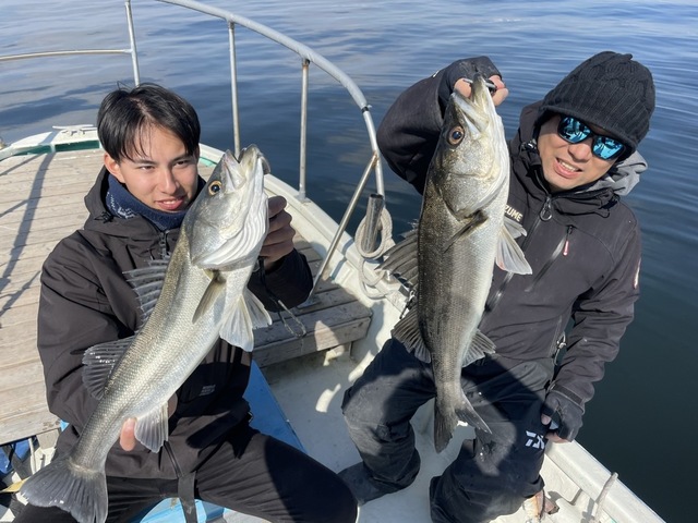 シーバス(スズキ)