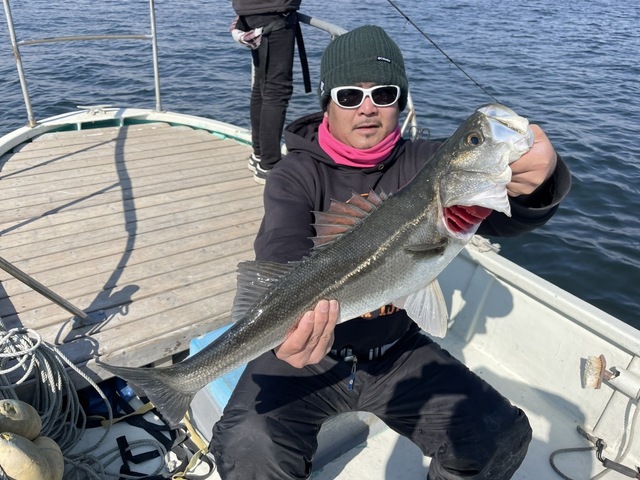 シーバス(スズキ)