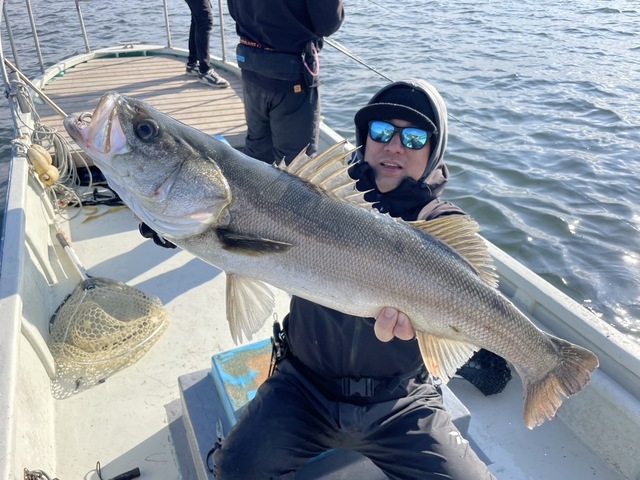 シーバス(スズキ)