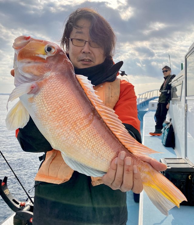 アマダイ(アカアマダイ)