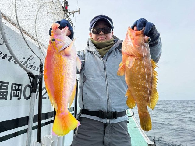 アカイサキ・アコウ(キジハタ)