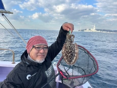 スミイカ(コウイカ)