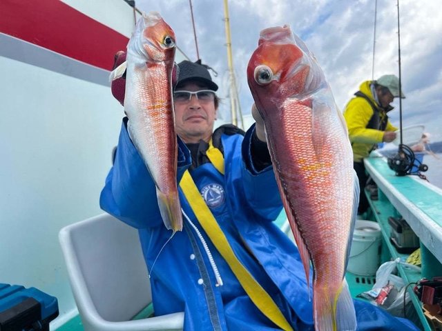 アマダイ(アカアマダイ)