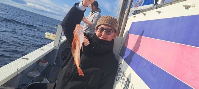 カンコ(ウッカリカサゴ)