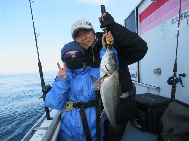 シーバス(スズキ)