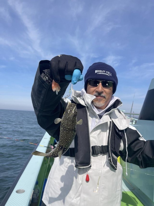 フグ(ショウサイフグ)