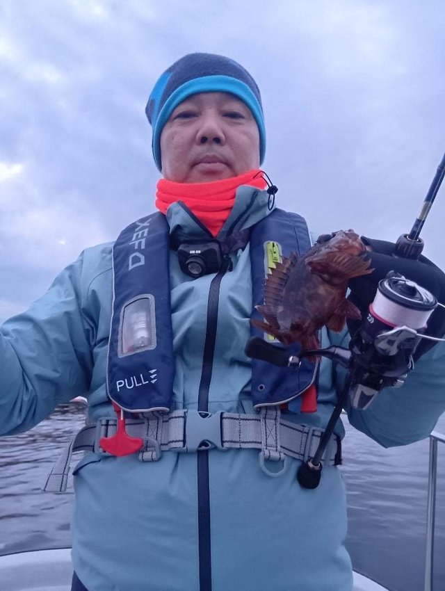 ガシラ(カサゴ)