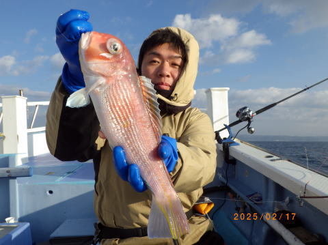 アマダイ(アカアマダイ)