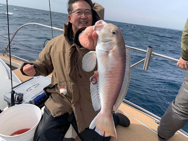 アマダイ(アカアマダイ)