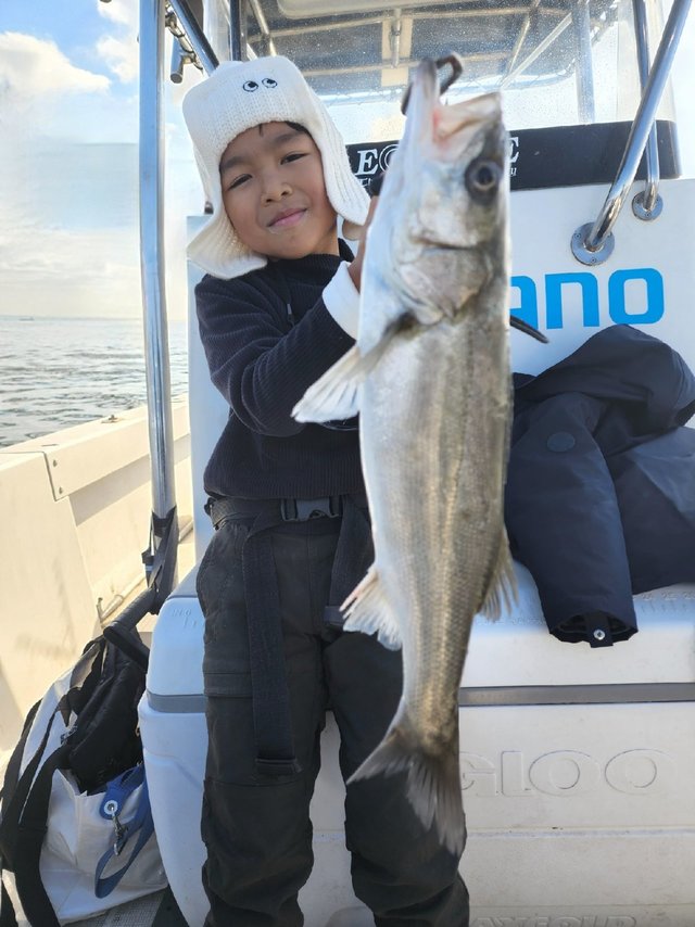 シーバス(スズキ)